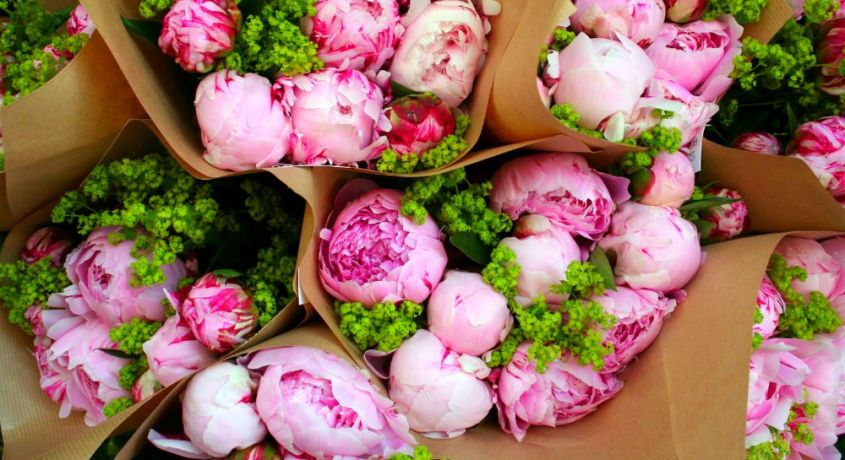 Составьте тайное послание на языке цветов! Скидка 50% на покупку цветов в салоне «Империя Роз».