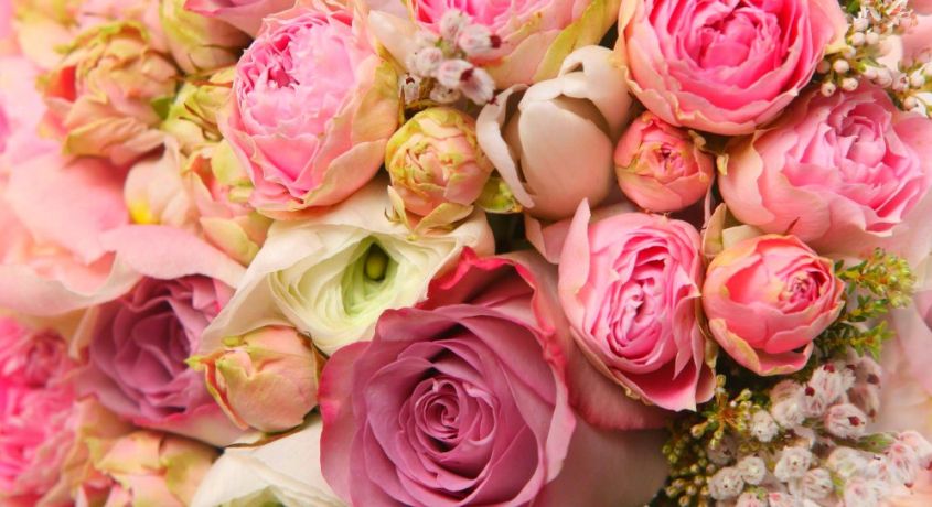Составьте тайное послание на языке цветов! Скидка 50% на покупку цветов в салоне «Империя Роз».