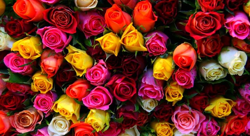 Цветы для всех! Скидка 50% на букеты в стиле признание, пожелание, комплимент от мастерской букетов и подарков «25 цветов».