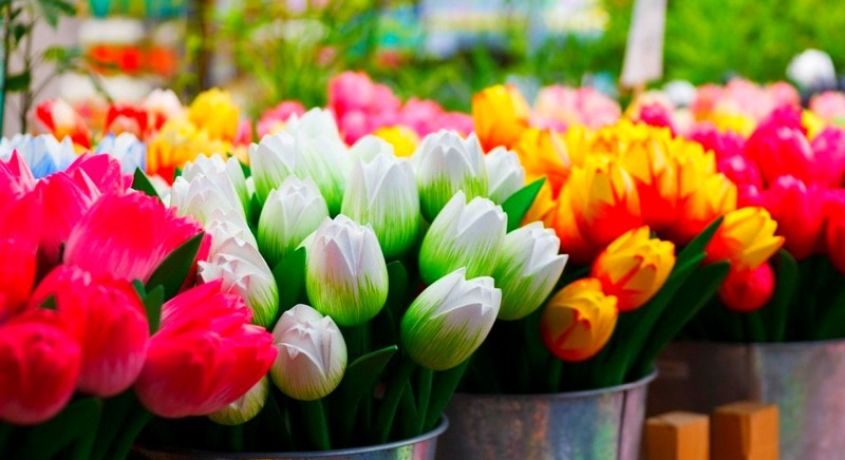 С наступающим праздником милые дамы! Скидка 50% на букеты из тюльпанов с доставкой от интернет-магазина цветов «МАКСИ».