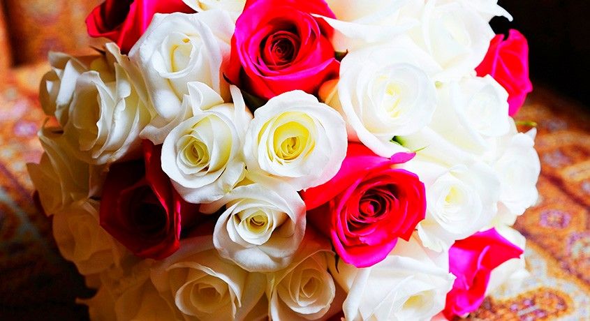 Что может быть красивее цветов? Голландские розы, ирисы, хризантемы, розы кустовые, альстромерии или герберы со скидкой 50%.
