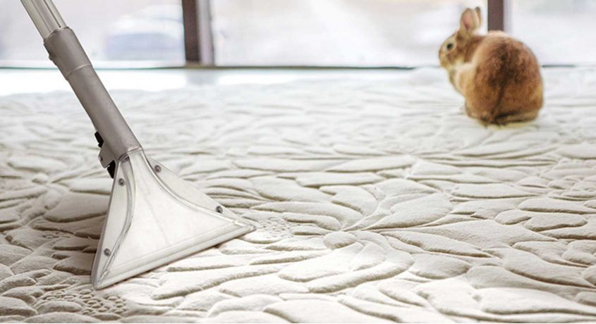 Чистота - залог здоровья! Скидка 50% на химчистку ковров и мягкой мебели от компании «КИТ-Клининг».