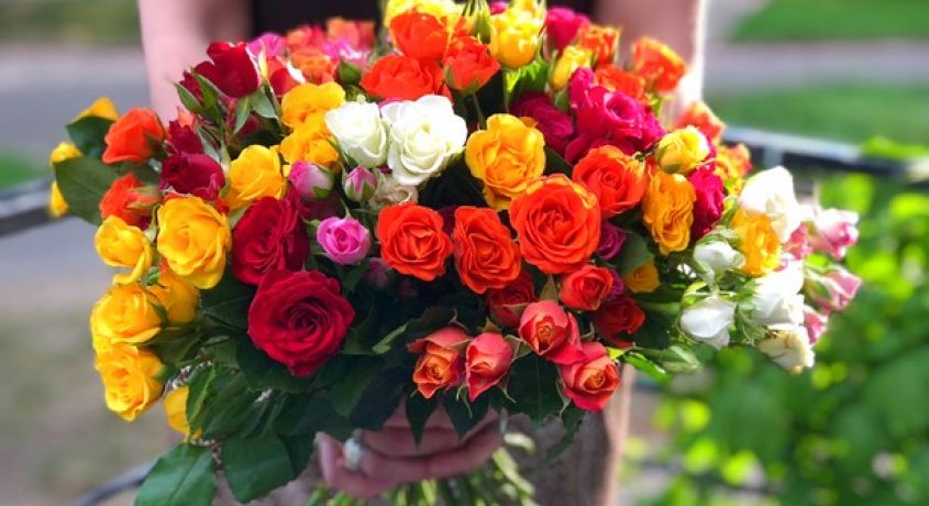 Выпускные близко! Кустовые розы или розы Кения со скидкой 50% от доставки цветов и подарков «Цветов.ру»