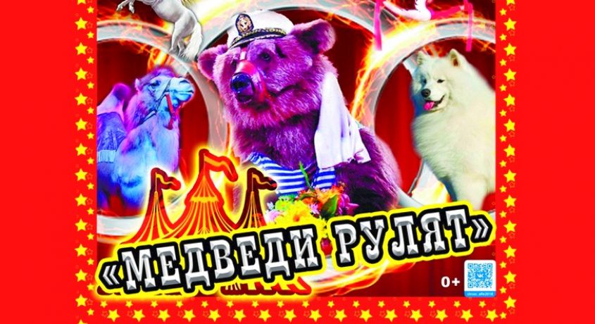 Яркое и зрелищное шоу для всей семьи «Медведи рулят»! 2 билета по цене одного в цирк-шапито «Алле».
