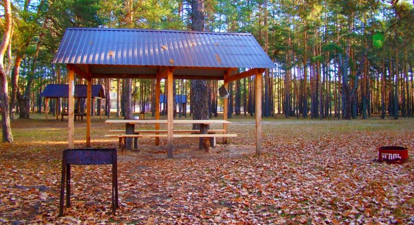 Проводим осень на природе! Парк культуры и отдыха «Загородный» дарит 50% скидку на аренду мест для пикника.