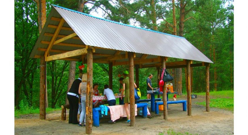 Проводим осень на природе! Парк культуры и отдыха «Загородный» дарит 50% скидку на аренду мест для пикника.