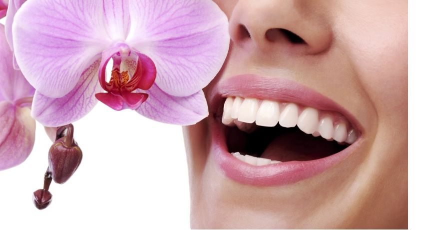 Улыбнитесь этой весне! Скидка 50% на профессиональную ультразвуковую чистку зубов от стоматологической клиники «Айболит»!