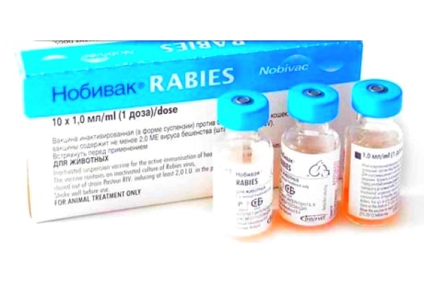 Иммунизация вакциной Мультифел-4 - Нобивак Rabies