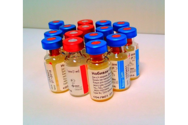Иммунизация вакциной Нобивак DHPPi-RL