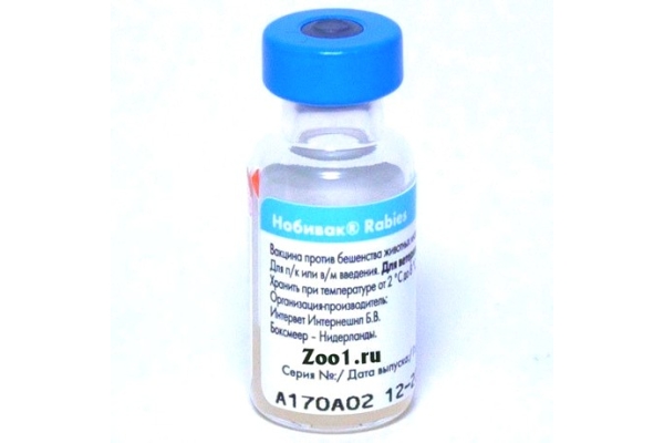 Иммунизация вакциной Нобивак Rabies