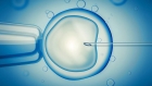 Программа ЭКО по ОМС, 1-3 этапы – Стимуляция, Пункция и Культивирование с криоконсервацией эмбрионов