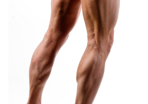Мужская депиляция Ноги до колен (skins)