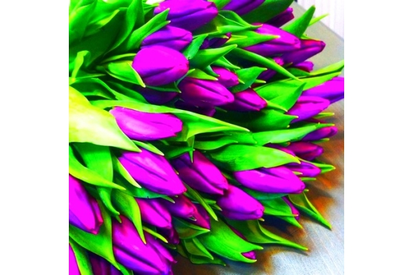 Монобукет из темно-фиолетовых тюльпанов
