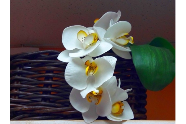 Мастер-класс фоамиран «Орхидея»
