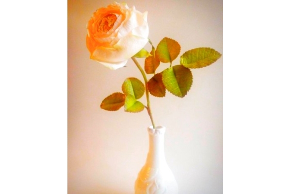 Мастер-класс фоамиран «Пионовидная роза»