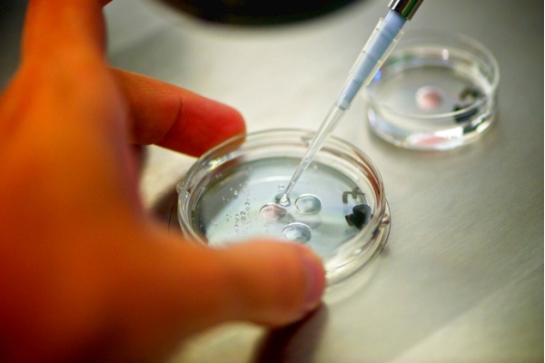 Программа ЭКО по ОМС, перенос размороженных криоконсервированных эмбрионов