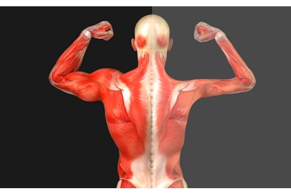 Лечение атрофии мышц