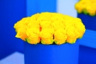  Желтые розы в шляпной коробке 