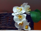 Мастер-класс фоамиран «Орхидея»