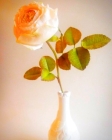 Мастер-класс фоамиран «Пионовидная роза»