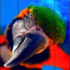 Картина "Птицы 2"