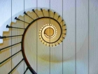 Картина "Спираль 2"