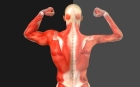 Лечение атрофии мышц