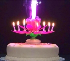 Свечи на торт «лотос»