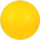 Мяч для лечебной физкультуры с насосом Тривес