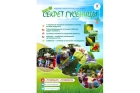 Научно-экологический квест для детей 6 лет «Секрет гусеницы» 