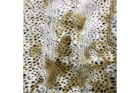 Ткань Эко-мех принт «Леопард» стриженный