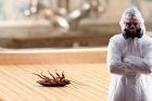 Травля тараканов комната в общежитии