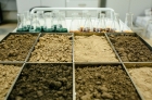 Исследование анализа почвы