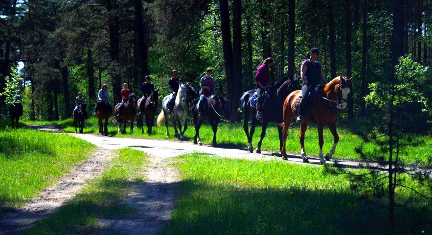 Отдых на свежем воздухе! Конные прогулки верхом по осеннему лесу со скидкой 60% от конноспортивного комплекса «Рублевские Зори»!