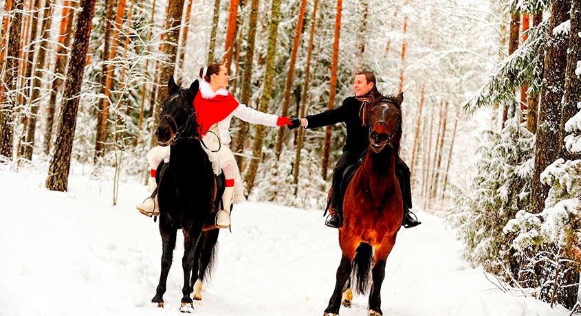 Зима близко! Скидка 60% на прогулку по зимнему лесу от конного клуба «Рублевские Зори».