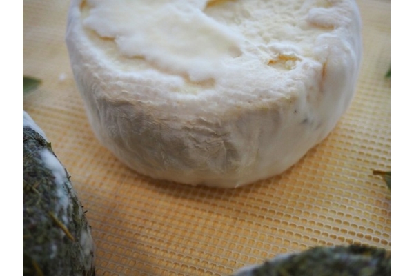 Сыр козий по французски с белой плесенью от Джея Клоуса