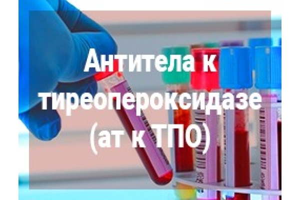 Антитела к тиреопероксидазе (АТ-ТПО)