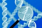 Исследование генетических дефектов ферментов фолатного цикла