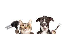 Груминг для собак и кошек