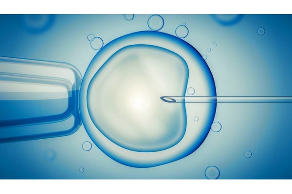 Программа ЭКО по ОМС, 1-3 этапы – Стимуляция, Пункция и Культивирование с криоконсервацией эмбрионов