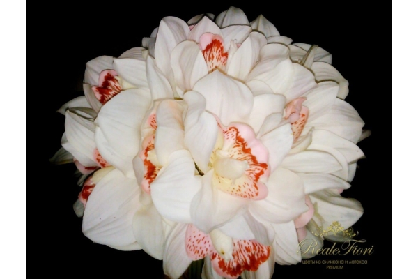 Орхидея Цимбидиум композиция белый