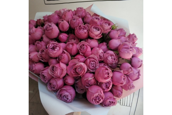 Букет цветов (25 пионовидных роз)