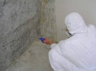 Обработка стен специализированными химическими составами (противогрибковыми)