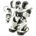 Интеллектуаный робот Roboactor 