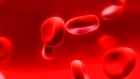 Группа крови + Резус-фактор (Rh) 