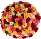 Букет из 101 разноцветных роз