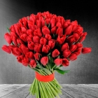 Букет из красных тюльпанов