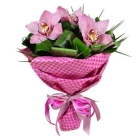Букет из розовых орхидей 